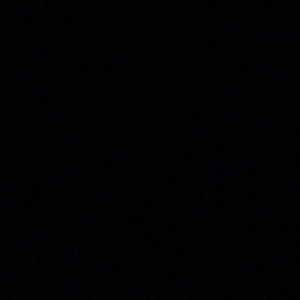 Meet your Posher, Gavin